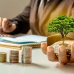 Evaluating Government Donation Versus Real Estate Options for Citizenship